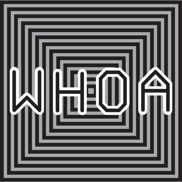 The Whoa Board circuit board
